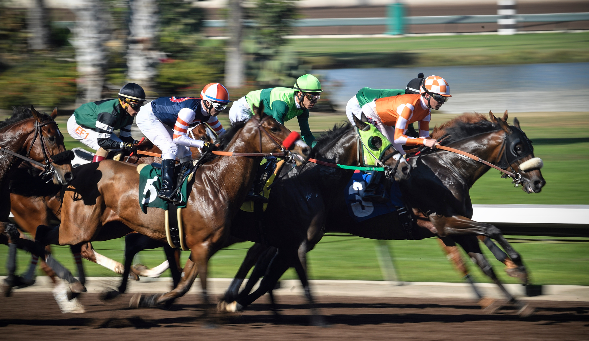 Horse racing tickets